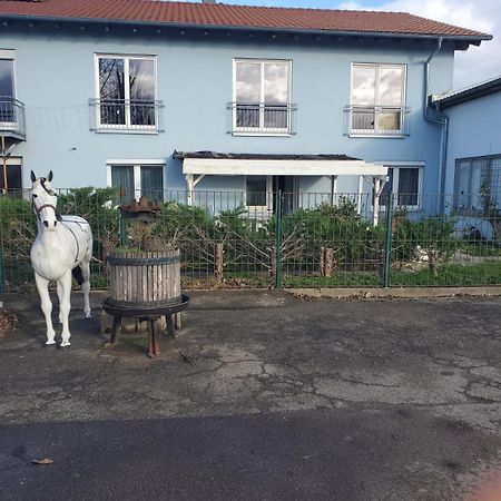 Grosse 3 Zi Wohnung Auf Der Pferde Farm Лар Экстерьер фото