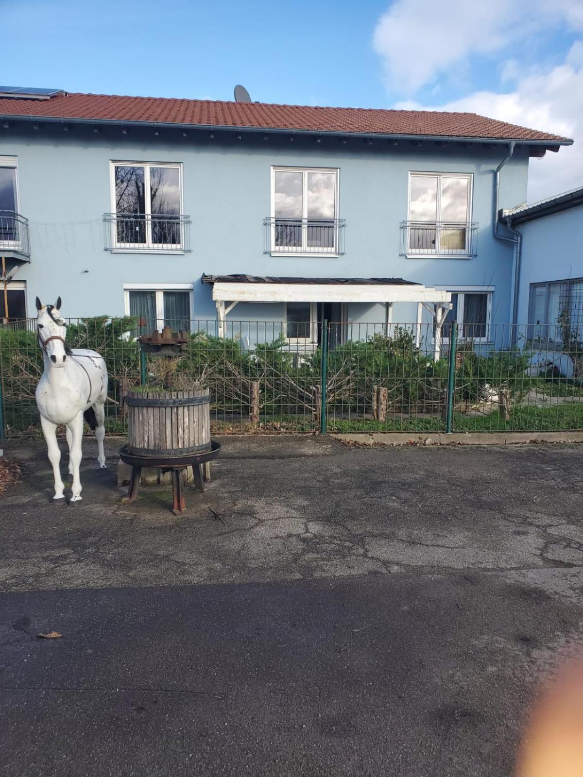 Grosse 3 Zi Wohnung Auf Der Pferde Farm Лар Экстерьер фото